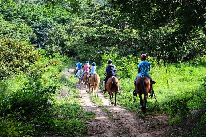 Papagayo Zipline and Horseback Combo — Canopy Flight and Saddle Trails photo 6