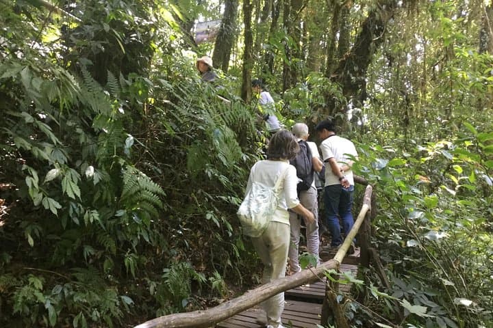 Kew Mae Pan Trail & Doi Inthanon Day Hike: From Chiang Mai to Thailand's Roof photo 6