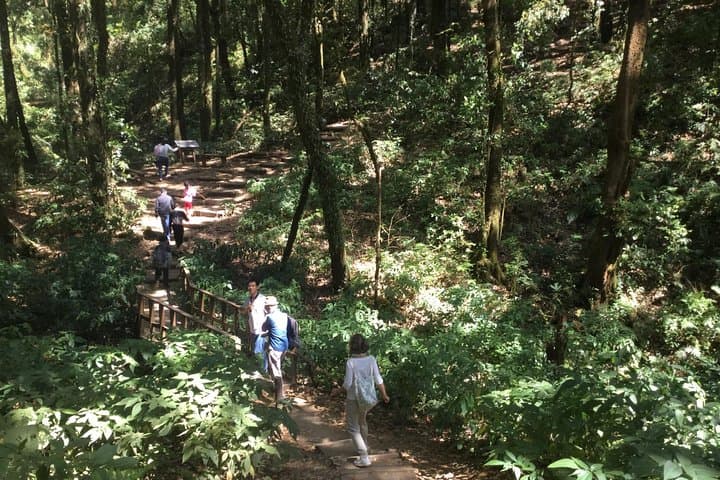 Kew Mae Pan Trail & Doi Inthanon Day Hike: From Chiang Mai to Thailand's Roof photo 2