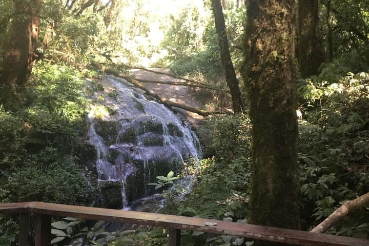 Kew Mae Pan Trail & Doi Inthanon Day Hike: From Chiang Mai to Thailand's Roof photo 5