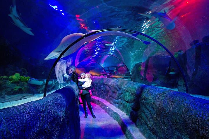 SEA LIFE Loch Lomond Aquarium Admission — Balloch Tickets & Visitor Guide photo 2