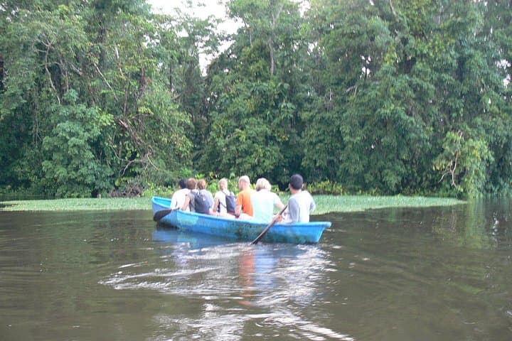 Quiet Canals: Canoe Tour in Tortuguero National Park photo 3