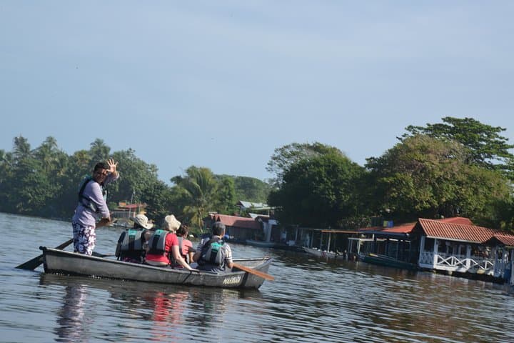 Best of Tortuguero: Sunrise Canoe, Rainforest Hike & Night Turtle Tour photo 3