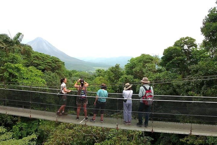 Arenal Hanging Bridges: Mistico Park Rainforest Hike & Wildlife Walk photo 3
