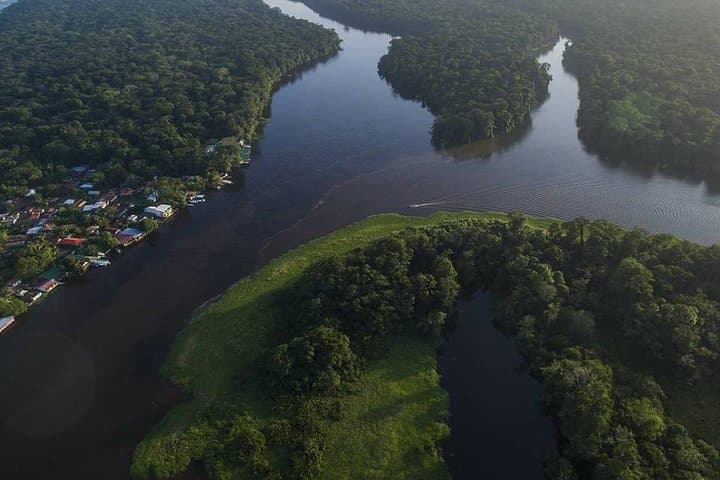 Tortuguero Canoe & Night Tour: Canal Wildlife and Turtle Watching