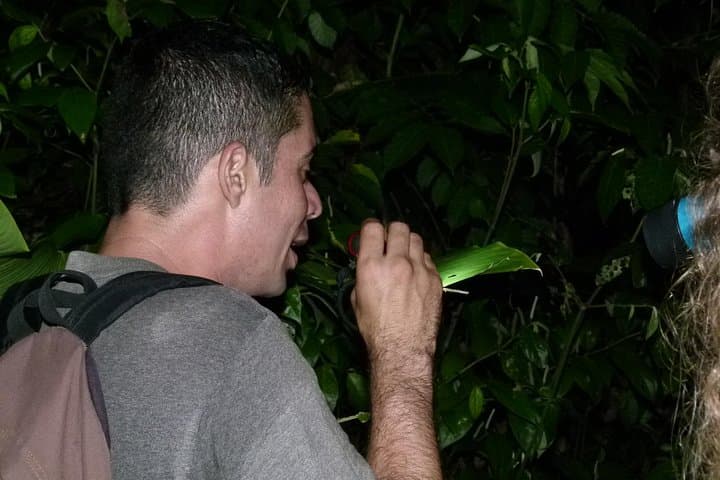 Best of Tortuguero: Sunrise Canoe, Rainforest Hike & Night Turtle Tour photo 4