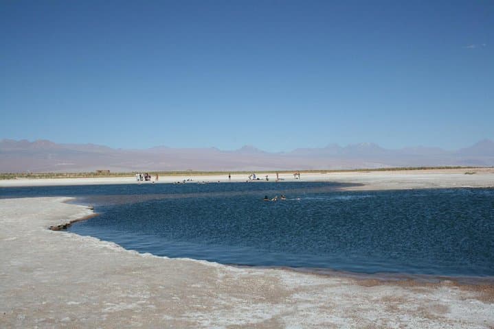 Float in Cejar Lagoon: Half-Day Afternoon Tour from San Pedro de Atacama photo 3