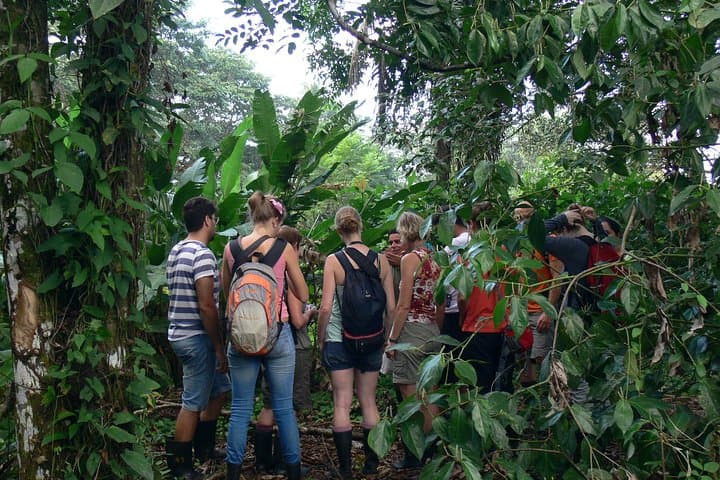 Best of Tortuguero: Sunrise Canoe, Rainforest Hike & Night Turtle Tour photo 2