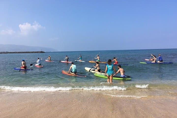 Haleiwa SUP Lesson and Turtle Tour on the Anahulu Stream photo 2