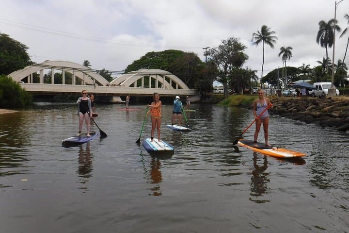 Haleiwa SUP Lesson and Turtle Tour on the Anahulu Stream photo 5