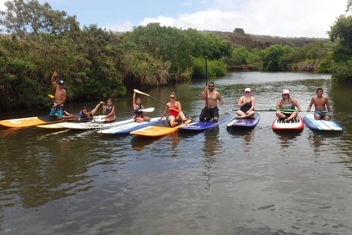 Haleiwa SUP Lesson and Turtle Tour on the Anahulu Stream photo 3