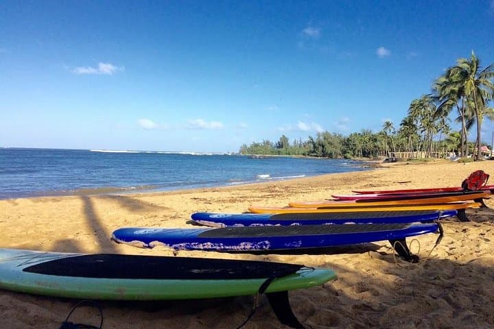 Haleiwa SUP Lesson and Turtle Tour on the Anahulu Stream photo 6