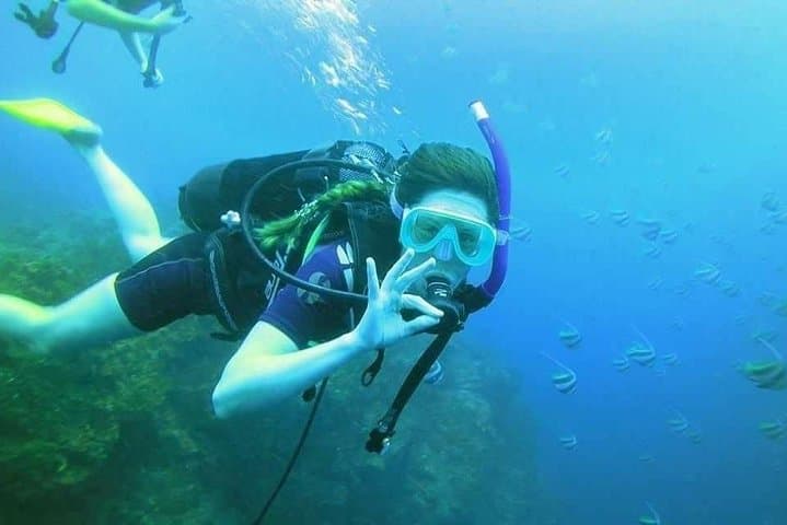 PADI Open Water Diver Course in Mauritius — Learn to Scuba the Coral Reefs photo 3