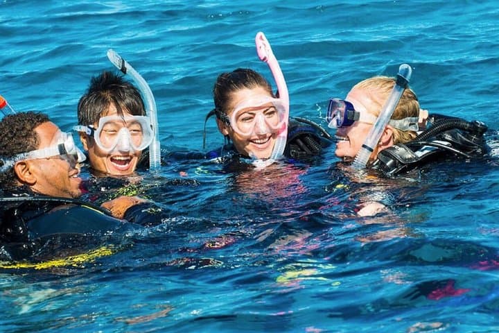 Mauritius Exploration Dives — Blue Bay Reefs & Southeast Wrecks photo 3
