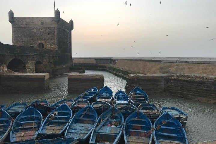 Essaouira 1-Day Shared Escape from Marrakech: Atlantic Coast, Medina & Argan Co-op photo 3