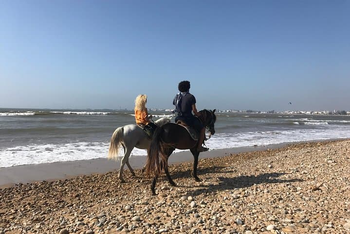 Essaouira 1-Day Shared Escape from Marrakech: Atlantic Coast, Medina & Argan Co-op photo 4