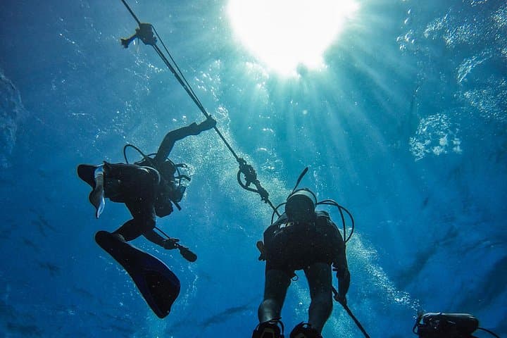 Catalina Island Full-Day Scuba Diving from Punta Cana — Wall Dives, 'Aquarium' & Beach BBQ photo 2