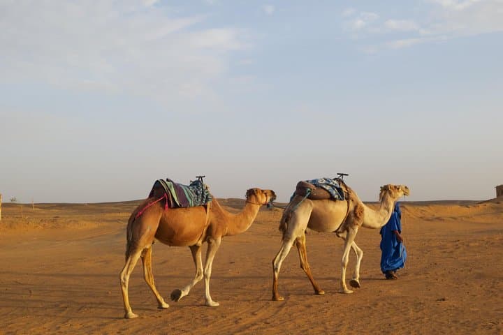 8-Day Imperial Cities Morocco: Marrakech to the Sahara and Chefchaouen photo 4
