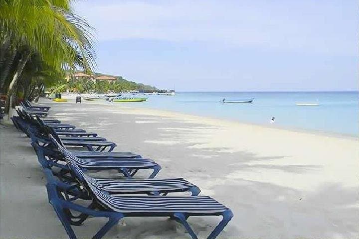 Roatán Zipline Flight Adventure with Beach Break — 12 Zips & Jungle Views photo 5
