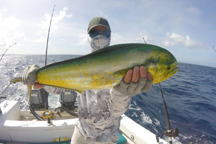 Deep Sea Fishing in Tobago: Half- and Full-Day Charters with Street Food photo 5