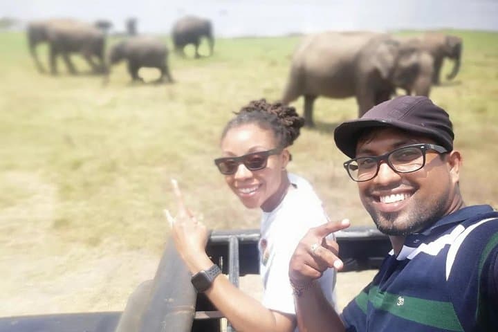 Kandy to Sigiriya: Full-Day Sigiriya, Dambulla & Minneriya Safari from Kandy photo 5