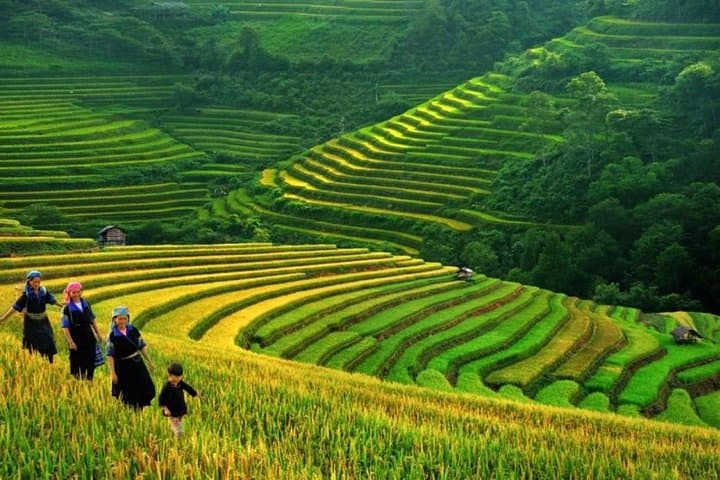 Sapa 3-Day Trek & Homestay: Cat Cat, Y Linh Ho, Lao Chai & Giang Ta Chai photo 4