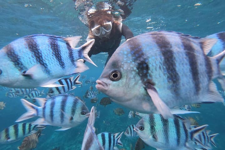 Snorkeling the Blue Cave (Cape Maeda) — Okinawa's Best Snorkel with Fish Feeding & Photos