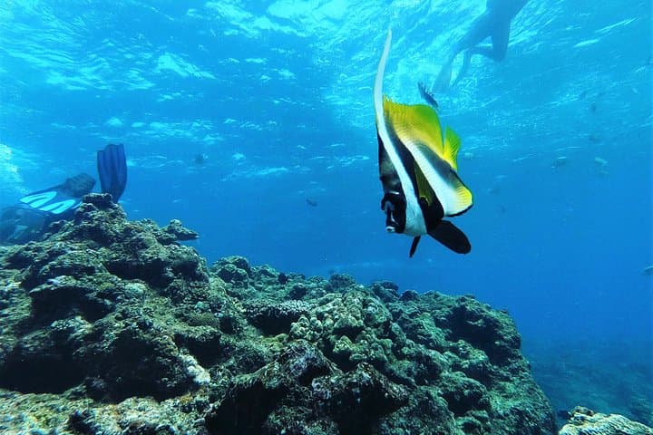Snorkeling the Blue Cave (Cape Maeda) — Okinawa's Best Snorkel with Fish Feeding & Photos photo 3