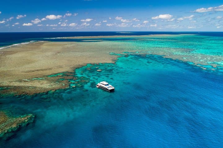 Outer Great Barrier Reef Cruise from Port Douglas — Snorkel Agincourt & Opal Reefs photo 5
