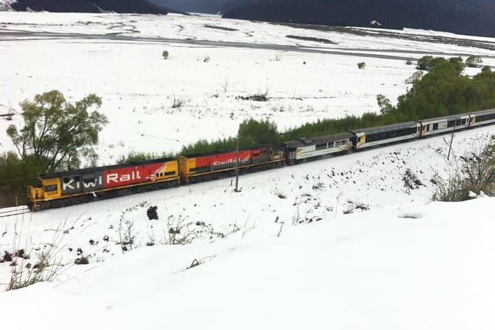 Tranz Alpine Train Tour: Christchurch to Arthurs Pass Scenic Day Trip photo 3