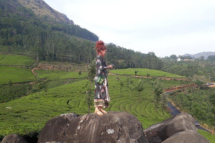 Munnar Tea Plantation Sunset Walk — Guided Tea-Estate Hike & Sunset View photo 2