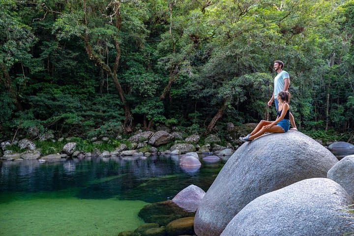 Daintree Rainforest & Mossman Gorge Full-Day Tour: River Cruises, Walks and Wildlife photo 5
