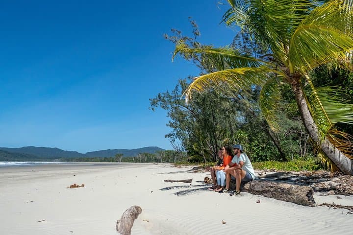 Daintree Rainforest & Mossman Gorge Full-Day Tour: River Cruises, Walks and Wildlife photo 2