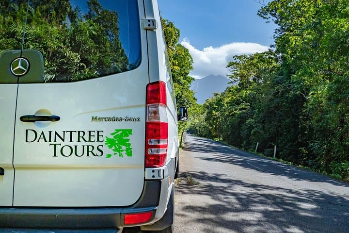 Daintree Rainforest & Mossman Gorge Full-Day Tour: River Cruises, Walks and Wildlife photo 3