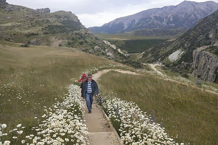 Tranz Alpine Train Tour: Christchurch to Arthurs Pass Scenic Day Trip photo 6