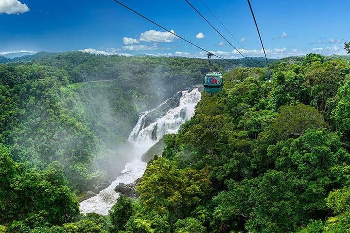Skyrail to Kuranda: Rainforest Cableway Day Trip from Port Douglas
