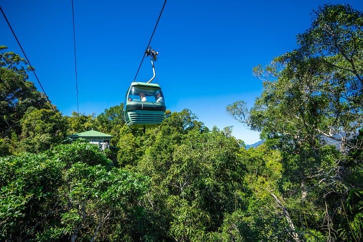 Kuranda Scenic Railway & Skyrail Day Trip from Palm Cove — Rainforest, Falls & Kuranda Markets photo 2