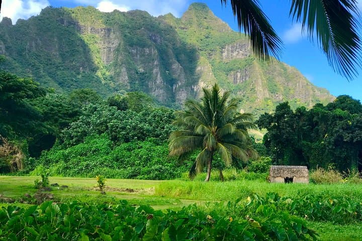 Personalized Private Oahu Island Tour — Full-Day Custom Island Experience photo 2