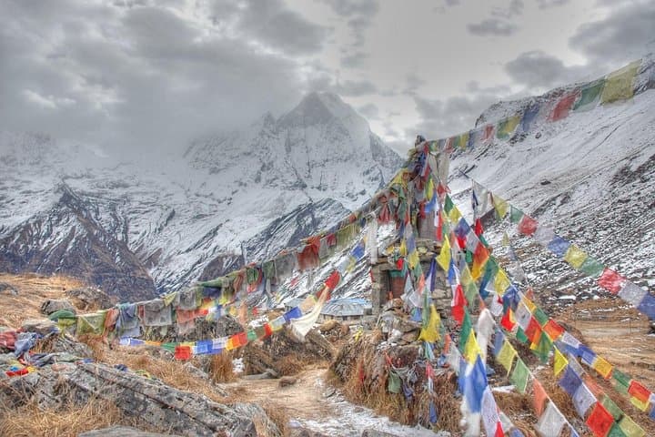 Annapurna Poon Hill Homestay Trek: 10-Day Ghorepani & Ghandruk Adventure photo 4