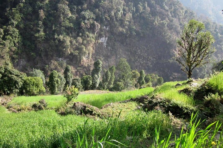 Annapurna Poon Hill Homestay Trek: 10-Day Ghorepani & Ghandruk Adventure photo 6