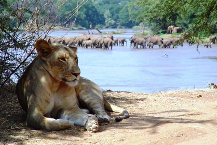 6-Day Kenya Safari: Amboseli, Aberdares & Samburu Wildlife Tour photo 3