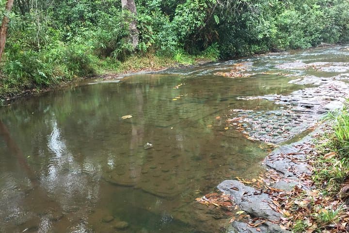 Private Phnom Kulen 1000 Shiva Lingas Waterfall Tour from Siem Reap photo 2