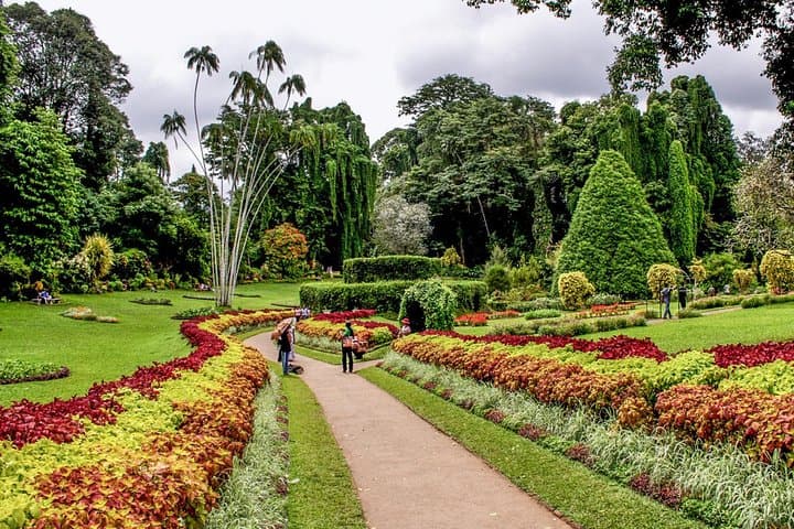 Kandy Day Tour from Colombo: Peradeniya Botanical Gardens, Temple of the Tooth & Cultural Show photo 4