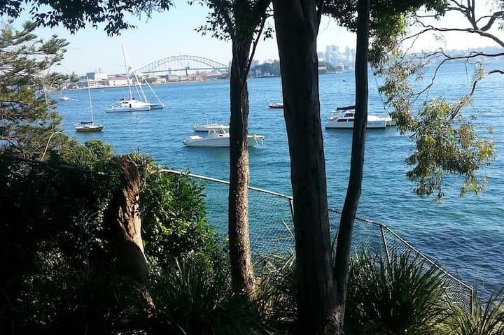 Secret Sydney: Hidden Beaches, Harbourside Gardens & Coastal Birdlife photo 2
