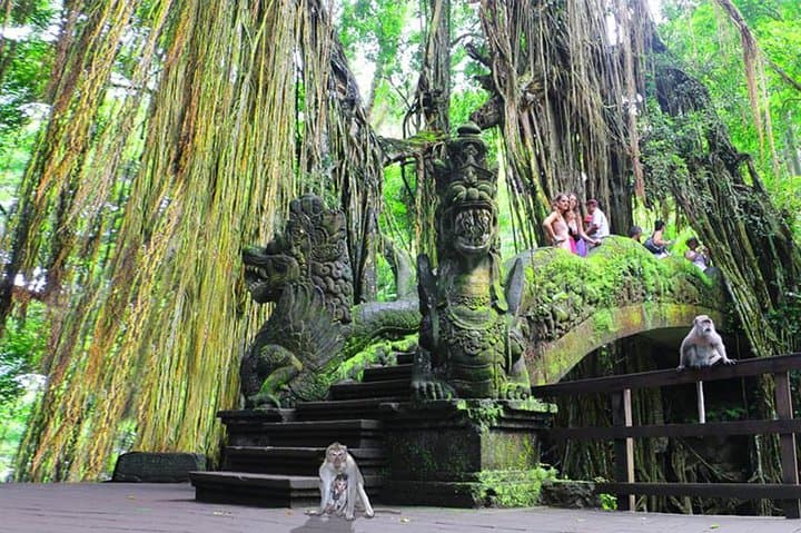 Customizable Bali 5-Day Transport Package: Private Van Tours from Kuta to Ubud