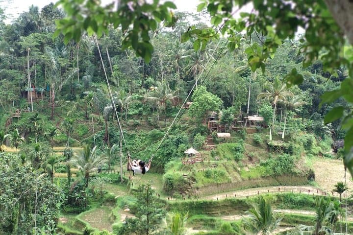 Ubud Amazing Day Trip: Goa Gajah, Tegalalang Rice Terraces & Tirta Empul Blessing photo 2