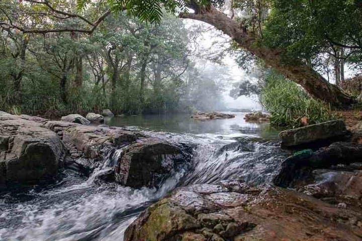 7-Day Sri Lanka Hideouts: Kalpitiya Lagoon, Knuckles & Mudhouse Retreat photo 4