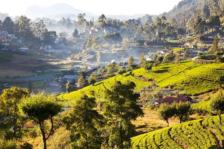 Ceylon Endearment: 28-Day Private Sri Lanka Cultural & Beach Journey photo 6
