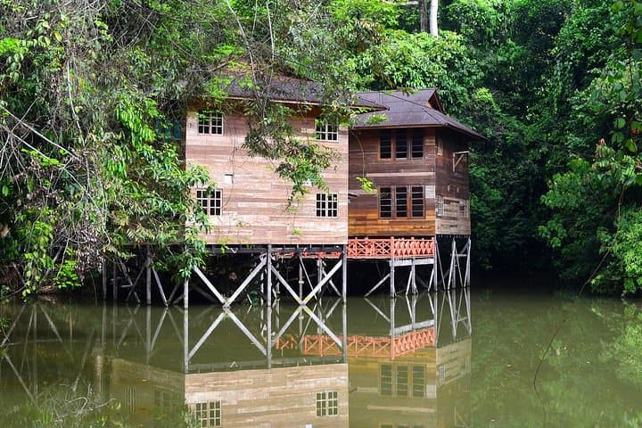 Borneo Tropical Rainforest Resort Day Tour — Lambir Hills Hike & Orchard photo 6
