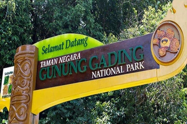 Gunung Gading National Park Rafflesia Hike from Kuching photo 6